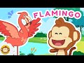 Mengenal Hewan | Burung Flamingo 🦩 Lagu Anak Indonesia BaLiTa #flamingo #balita #laguanak