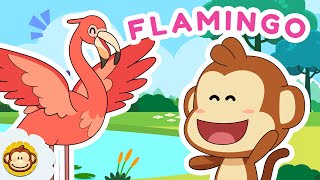 Mengenal Hewan | Burung Flamingo 🦩 Lagu Anak Indonesia BaLiTa #flamingo #balita #laguanak