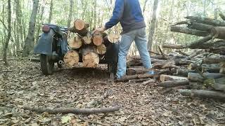 Вывожу дрова из леса#Днепр мт11#