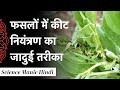 फसलों में कीट नियंत्रण का जादुई तरीका | Magical way to control pests in crops | Biology