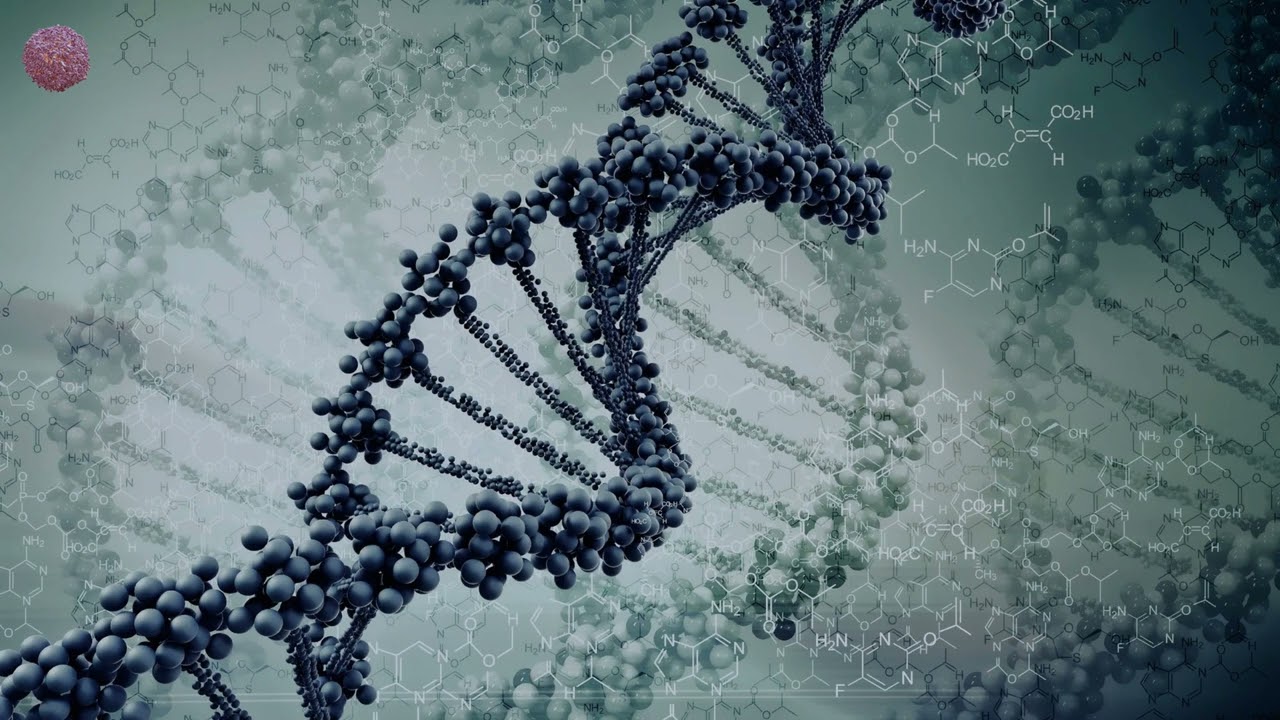 Ziger - Fear (Night Mix)