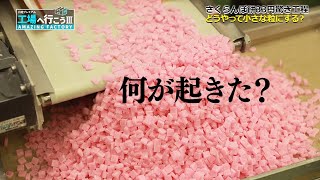 「食後の楽しみアップ！“フルーツ”盛りだくさん工場SP 」③