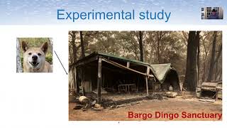 Desert Dingo (Canis lupus dingo) Genome Provides Insights into Their Role in Australian Ecosystems