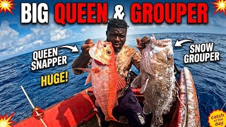 BIG QUEEN AND SNOWY GROUPER DAY 2