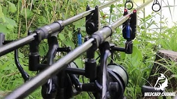 Carp Run COMPILATION 2022! PART 46!