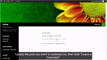 WordPress - Writing Comments