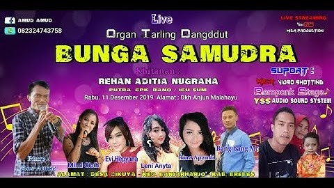 LIVE BUNGA SAMUDRA  -Resepsi Khitanan "REHAN ADITIA NUGRAHA" Dkh Anjun Malahayu //  MALAM