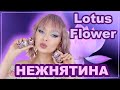 LOTUS FLOWER ВЕСЕННЯЯ КОЛЛЕКЦИЯ ПИГМЕНТОВ