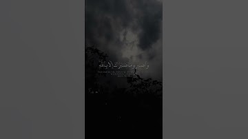 #واصبر_وماصبرك_الا_بالله_ولا_تحزن_عليهم🌿#سورة_النحل #قرآن #اسلام_صبحي #المصحف #اكسبلور