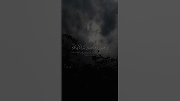 #واصبر_وماصبرك_الا_بالله_ولا_تحزن_عليهم🌿#سورة_النحل #قرآن #اسلام_صبحي #المصحف #اكسبلور