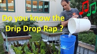 Dr. eric brennan describes a simple way to save water and produce
amazing vegetables. he designed this drip irrigation bucket system for
the raised vegetable...