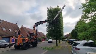 Professional Tree-Cutting Equipment For Square Trees