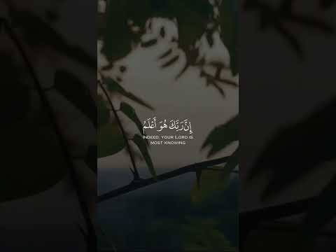 ادع إلى سبيل ربك بالحكمة والموعظة الحسنة وجادلهم بالتي هي أحسن عبدالله بصفر