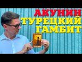 Борис Акунин Турецкий Гамбит О чем книга Фандорин