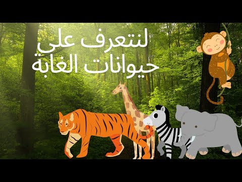 لنذهب في رحلة إلى الغابة ونتعرف على الحيوانات التى تعيش في الغابة - YouTube