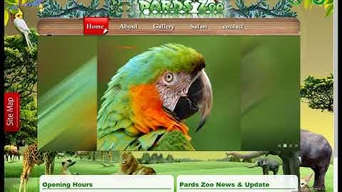 17  HTML and CSS Animated Project in Urdu