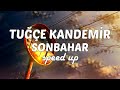 Tuğçe Kandemir - Sonbahar // (speed up)