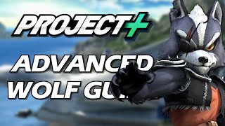 Famous Advanced Wolf Guide in Smash Bros Profile