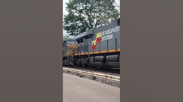 Seaboard System CSX Heritage Locomotive, JawTooth shorts