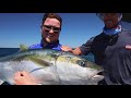 NZ Kingfish | Let The Battle Begin
