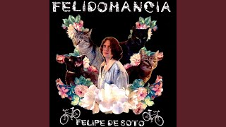 Felidomancia