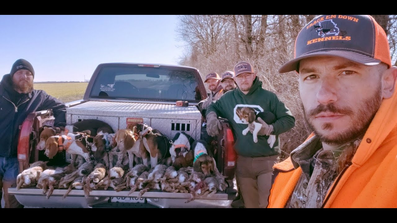 Last weekend Smackdown Epic Rabbit Hunt with Track Em Down Kennels