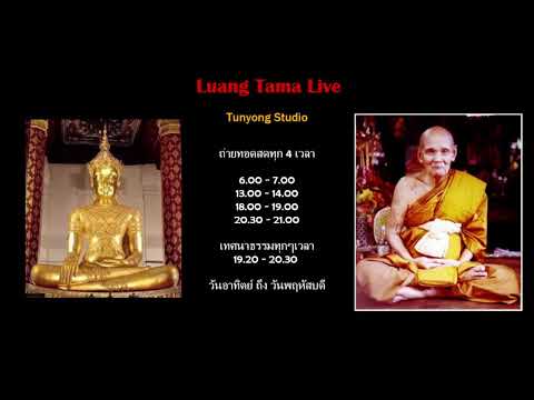 หลวงตาม้าถ่ายทอดสด วัดถ้ําเมืองนะ เชียงใหม่ Live Stream