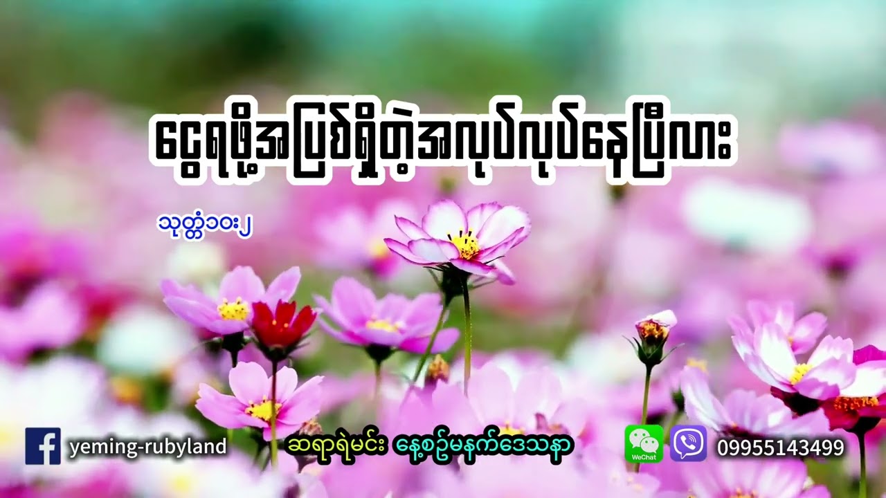 ငွေရဖို့အပြစ်ရှိတဲ့အလုပ်လုပ်နေပြီလား