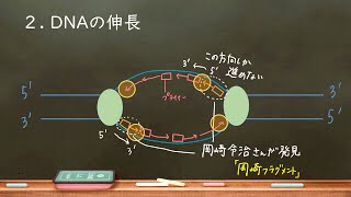 おうち生物　18.  複製のしくみ　（詳細欄に訂正あります！）