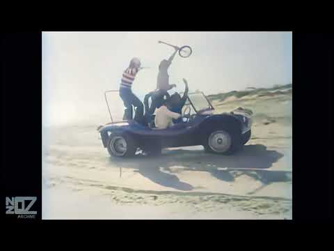 The Mixtures - In The Summertime (1970)