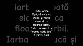 „Căci orice făptură este ca iarba și toată slava ei, ca floarea ierbii.#shorts #biblia #shortvideo