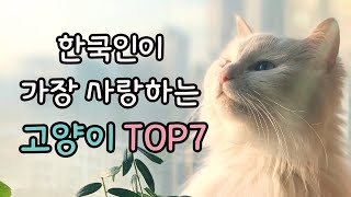 한국인이 가장 사랑하는 고양이 TOP 7 | Korean's Favorite Cat TOP7 | 한국 인기 고양이 순위