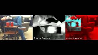 Fused IR Video