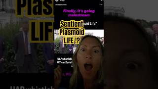 Sentient Plasmoid Life 🪽💠 comment plasma for more #davidgrusch #plasmoid #consciousness l #orb