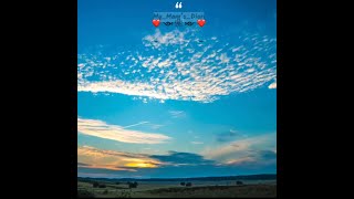 Terry Crews , Quotes , Mymamsdiary