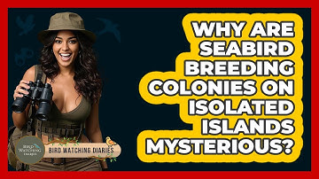 Why Are Seabird Breeding Colonies On Isolated Islands Mysterious? - Bird Watching Diaries