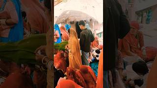 marwadi video village life 😍#yt #youtubeshorts #shortvideo #trending #shorts