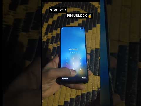 VIVO V17 PIN