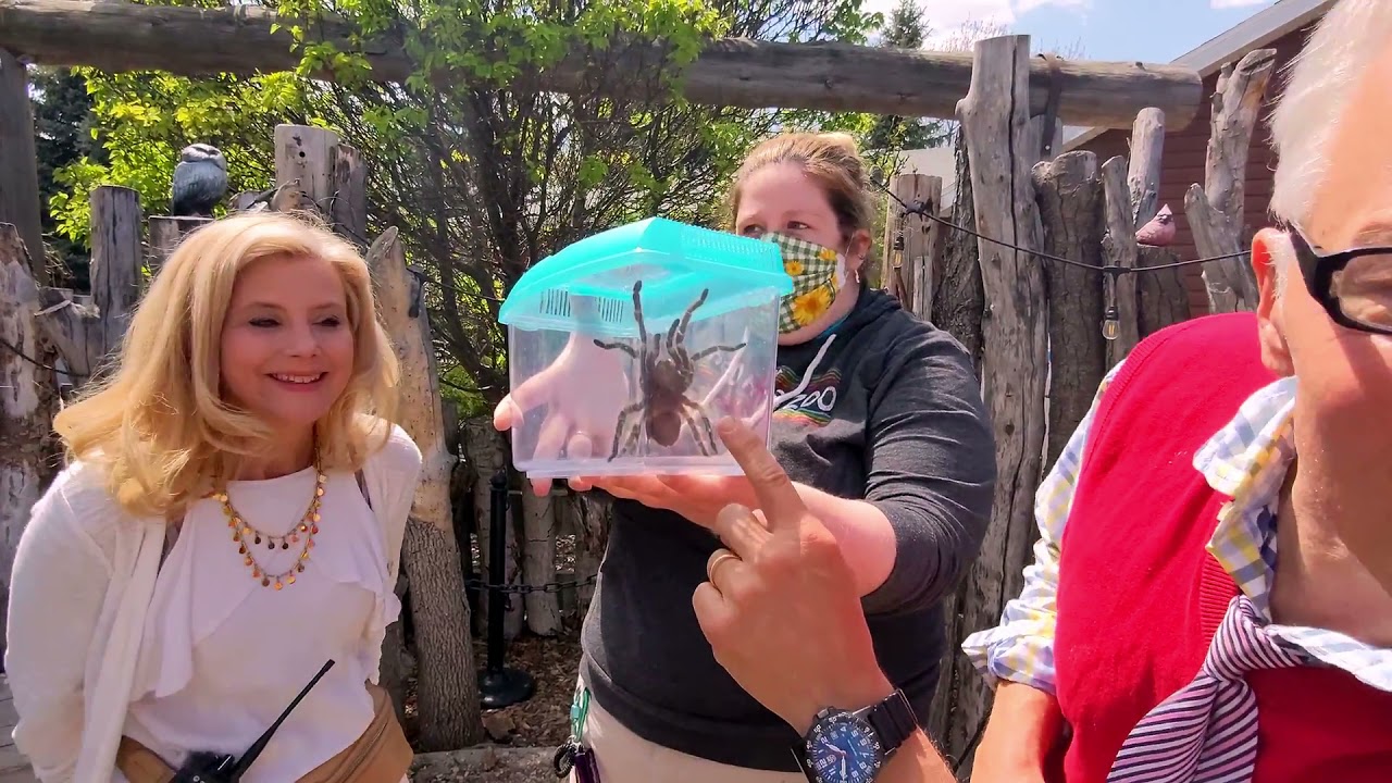 Mr. Rollie's Neighborhood | Red River Zoo Special