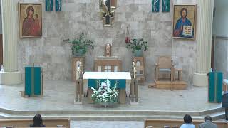 Daily Mass July 20, 2026