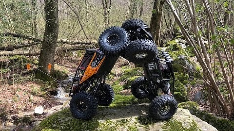 Twin Hammers brothers in the wood