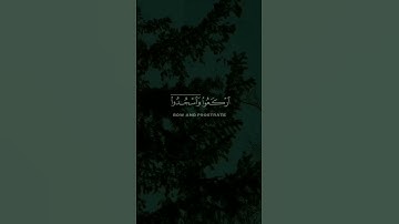 آيات السكينة والطمأنينة وراحة البال 💚🌱 أرح سمعك 🥰🌻