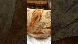 Хлеб на закваске 🔥 Sourdough bread #душанбе #food #восточнаякухня #cooking #рецепты #recipe