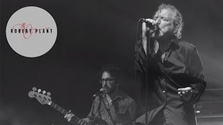 Robert Plant and the Sensational Space Shifters | 'Spoonful' | Live 2013 chords