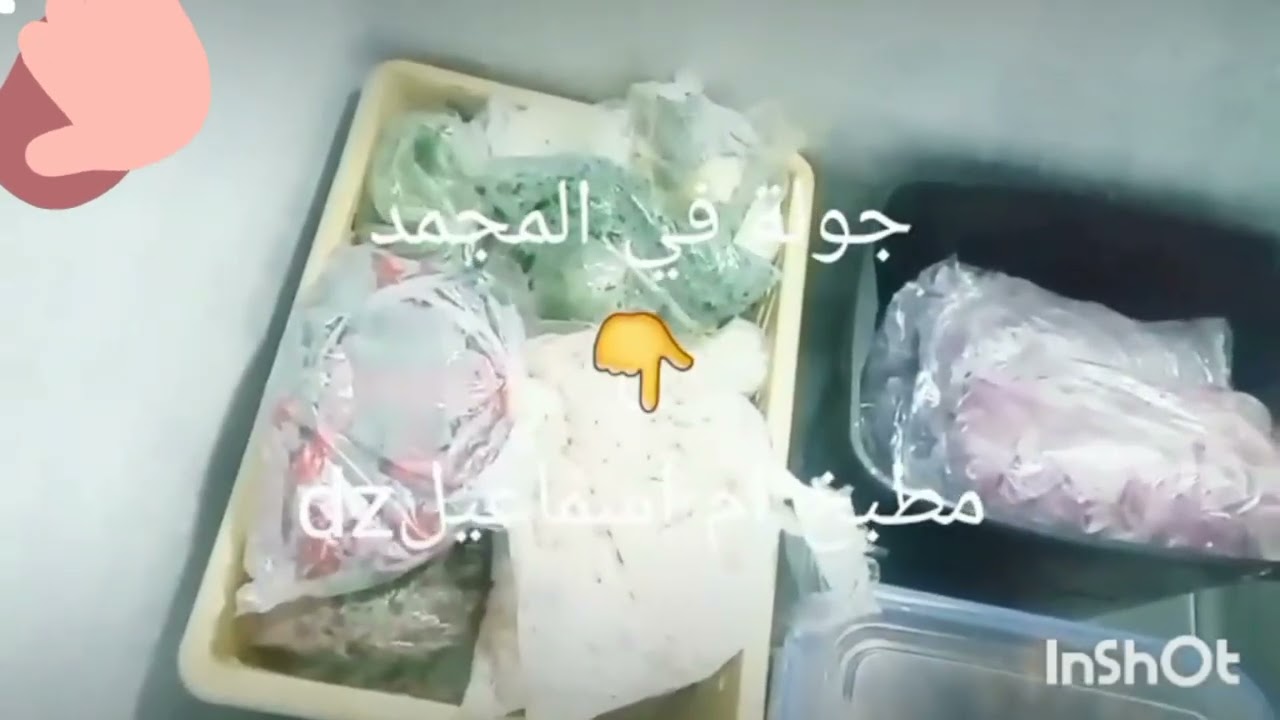 افتتاحية القناة....#عولة المجمد#عولة الشتاء/عولة رمضان