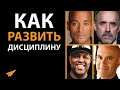 Как Развить Спартанскую Дисциплину (#ЖизненныеУроки)