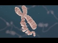 Chromatin biology explained