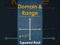What’s the Domain and Range of √x?