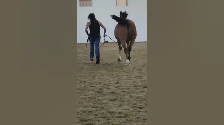 Tayo trotting away straight line