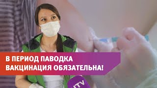 В Оренбургском районе началась вакцинация от гепатита А